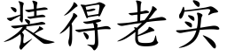 装得老实 (楷体矢量字库)