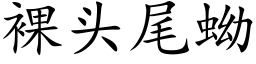 裸头尾蚴 (楷体矢量字库)