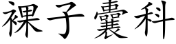 裸子囊科 (楷体矢量字库)