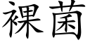 裸菌 (楷體矢量字庫)