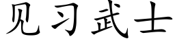 見習武士 (楷體矢量字庫)