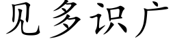 見多識廣 (楷體矢量字庫)