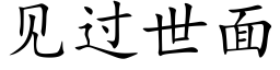 见过世面 (楷体矢量字库)