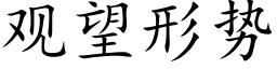 观望形势 (楷体矢量字库)