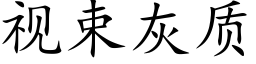 視束灰質 (楷體矢量字庫)