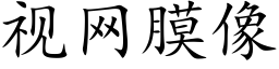 視網膜像 (楷體矢量字庫)