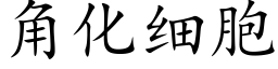 角化細胞 (楷體矢量字庫)