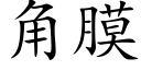 角膜 (楷體矢量字庫)