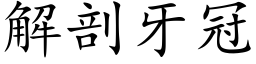 解剖牙冠 (楷体矢量字库)