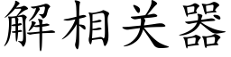 解相關器 (楷體矢量字庫)