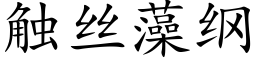 觸絲藻綱 (楷體矢量字庫)