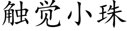 觸覺小珠 (楷體矢量字庫)