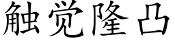 觸覺隆凸 (楷體矢量字庫)