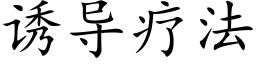 诱导疗法 (楷体矢量字库)