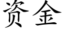 資金 (楷體矢量字庫)