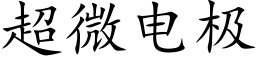 超微电极 (楷体矢量字库)