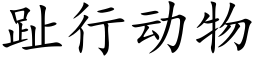 趾行動物 (楷體矢量字庫)