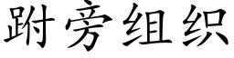 跗旁组织 (楷体矢量字库)