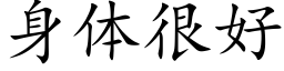 身體很好 (楷體矢量字庫)