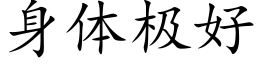 身體極好 (楷體矢量字庫)