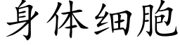 身體細胞 (楷體矢量字庫)