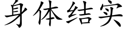 身体结实 (楷体矢量字库)