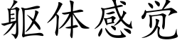 躯体感觉 (楷体矢量字库)