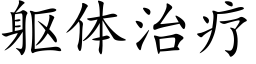 躯体治疗 (楷体矢量字库)