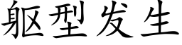 躯型发生 (楷体矢量字库)