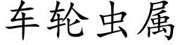 车轮虫属 (楷体矢量字库)