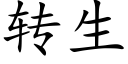 转生 (楷体矢量字库)