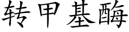 转甲基酶 (楷体矢量字库)