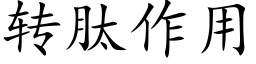 转肽作用 (楷体矢量字库)