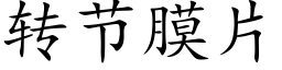 转节膜片 (楷体矢量字库)