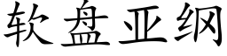 软盘亚纲 (楷体矢量字库)