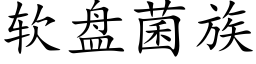 软盘菌族 (楷体矢量字库)