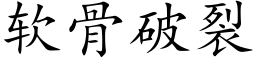 软骨破裂 (楷体矢量字库)