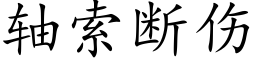 軸索斷傷 (楷體矢量字庫)