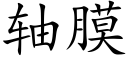 轴膜 (楷体矢量字库)