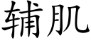 辅肌 (楷体矢量字库)