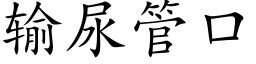 输尿管口 (楷体矢量字库)