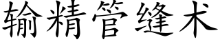 输精管缝术 (楷体矢量字库)