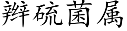 辫硫菌属 (楷体矢量字库)