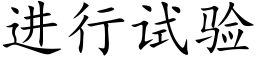 进行试验 (楷体矢量字库)