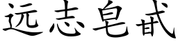 远志皂甙 (楷体矢量字库)