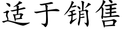 适于銷售 (楷體矢量字庫)