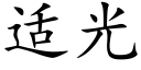 适光 (楷体矢量字库)