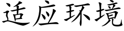 适應環境 (楷體矢量字庫)