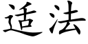 适法 (楷體矢量字庫)