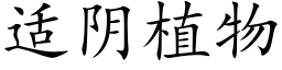 适陰植物 (楷體矢量字庫)